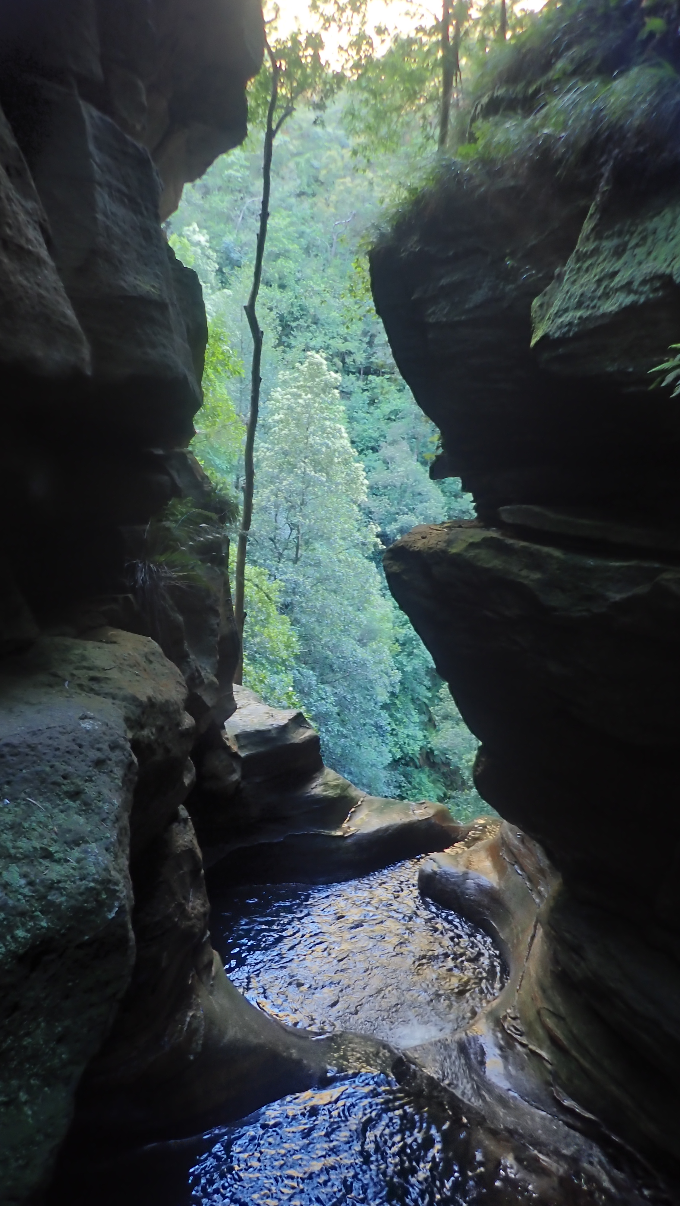 Rock Pools