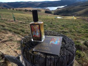 Fire and Grace Cologne Perfume